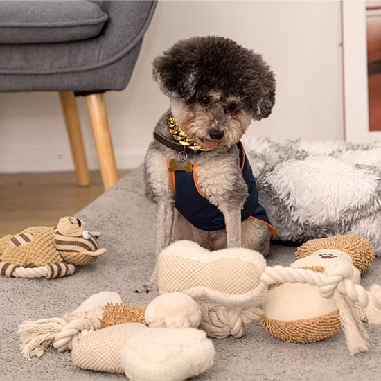 Rena Pet Dog Peluche à mâcher grinçante Jeu interactif Doux en peluche Poly